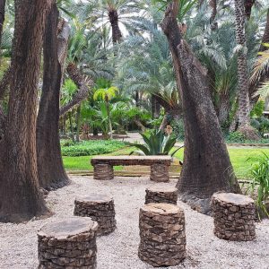 Elche, UNESCO Heritage Sites and museums